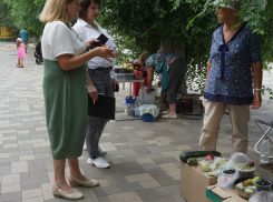 В Волгоградской области ежедневно «гоняют» уличных торговцев с ягодами и кабачками