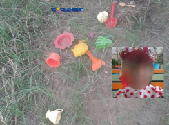 Детские игрушки и вещи 5-летней Сони всю ночь находили в Калаче-на-Дону