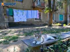 Волгоград занял 169 место по чистоте среди городов РФ 