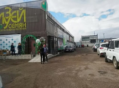 Налетчики совершили дерзкое ограбление Музея семян Волгограда