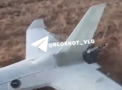 Сбитый над Волгоградской областью беспилотник найден в поле фермером: видео