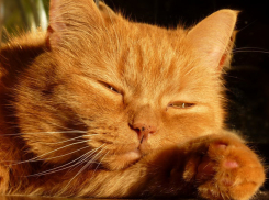 Последняя жаркая неделя в Волгограде стартовала с +33ºС