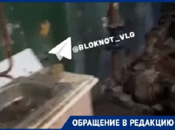 «Все ржавое, просто хлам»: сидящие неделю без воды волгоградцы показали обслуживающую дом теплостанцию 