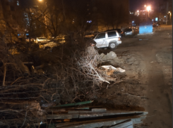Жители Волгограда боятся спать из-за пожароопасной свалки во дворе 