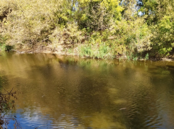 17-летняя девушка без вести пропала в Михайловке: отправилась переплывать озеро