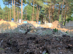 В Волгоградской области чиновники приравняли машину к свалке, чтобы оштрафовать спасающего парк мужчину