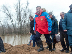Губернатор Андрей Бочаров решил провести учения в Волгограде