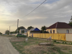 Найдены самые необычные названия посёлков Волгоградской области 