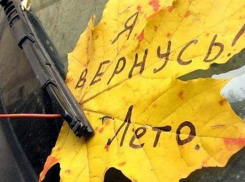 В Волгограде всю неделю будет пасмурно, бабьего лета не ожидается