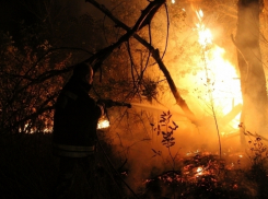Под Волгоградом злоумышленники сожгли два дома 