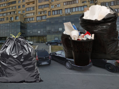 Мусорный регоператор Волгограда займет место Госжилнадзора 