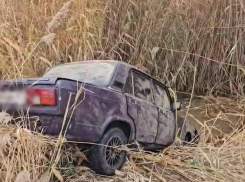 Жуткие кадры с места гибели двух 15-летних в камышах в Волгограде