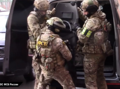 Известны имена неонацистов, готовивших покушение на жизнь волгоградки Скабеевой  