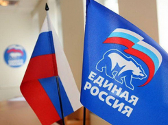 Только 7 волгоградцев решили стать депутатами Госдумы от «Единой России»