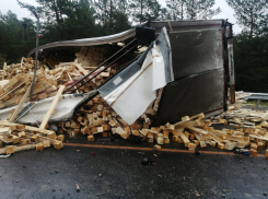 В смертельное ДТП с бревновозом попала волгоградка: 8 машин в месиво 