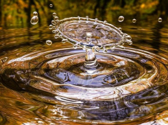 В Урюпинском районе водитель «Лады» скончался в утонувшем в озере автомобиле