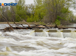 Расчистку обмелевшего русла Ахтубы под Волгоградом оценили в 200 млн рублей