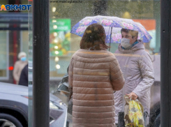 Волгоградцы разделили мнение Татьяны Голиковой о критической ситуации в регионе