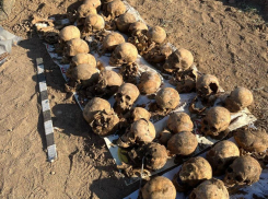 «Усыпано человеческими останками»: прекратить вспашку земель около лагеря военнопленных требуют в Волгограде