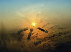 Волгоградская область начинает рабочую неделю дождями и туманами