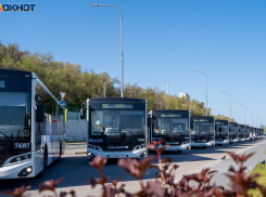 Партия автобусов за миллиард рублей прибыла в Волгоград 