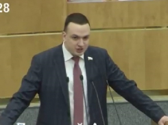 С трибуны Госдумы депутат заявил о мусорном коллапсе в Волгограде