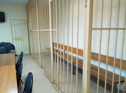 За издевательства над 8-летним волгоградцем суд приговорил к 14 годам колонии на двоих мать и отчима