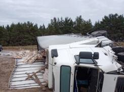 Водитель на Volkswagen протаранил грузовик на трассе в Волгоградской области: трое в больнице