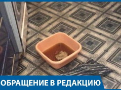 Дети чудом  спаслись от кипятка из прорвавшейся трубы в двухэтажном доме на юге Волгограда