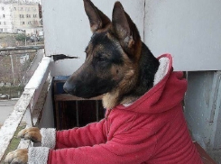 В Волгограде похолодает до -12ºС