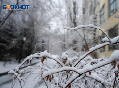 Снег с порывами ветра до 23 м/с ожидается в Волгоградской области
