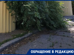 «Он все видит»: волгоградца возмутило бездействие мэра Марченко
