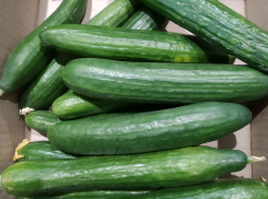 В Волгограде готовят к приватизации ГУП «Заря» и «Волгоградвзрывпром»