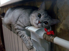 В центре Волгограда из-за порыва трубы без тепла остались 110 домов и 18 соцучреждений