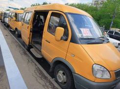 Маршрутки Волгограда проверят на качество оказания услуг