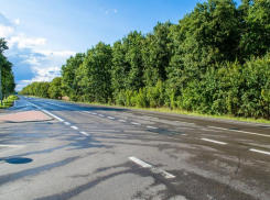 Водитель за рулем тягача разбился на трассе в Волгоградской области