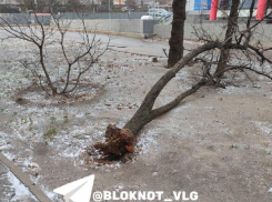 Сносит крыши, мерцают лампы: что творится во время шторма в Волгограде 