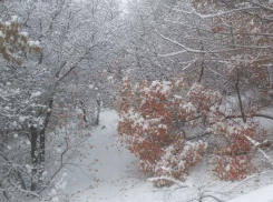 Снегопады и гололед будут хозяйничать в Волгоградской области до среды