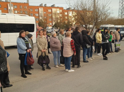 Гигантскую очередь на остановке сняли в волгоградской Родниковой долине: каждое утро — битва 