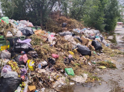 Десять свалок уничтожат в Волгограде за 1,6 млн рублей