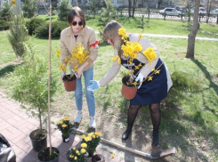 На 7 ветрах появились «яблочная» лавочка, деревянная елка и много зелени 