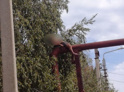 Труп мужчины обнаружен на электропроводах в Волгограде