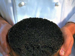 Под Волгоградом задержан 56-летний мужчина, незаконно перевозивший 43 банки черной икры