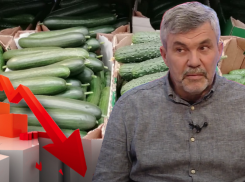 Вымирание региона на примере огурцов за 440 рублей объяснил волгоградский фермер