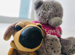 Трехлетняя девочка утонула в выгребной яме в Волгоградской области