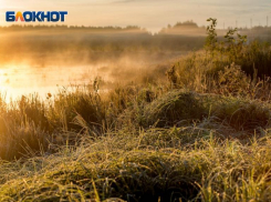 Воскресные заморозки пообещали жителям Волгоградской области