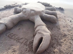 Огромный краб Себастьян появился на пляже Волгограда