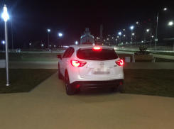 В Волгограде водитель устроил «покатушки» в новом парке у «Гасителя»