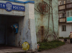 Жители Волгограда просят ФСБ запретить игру Pokemon Go