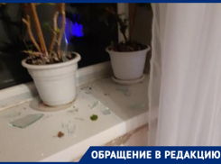 «За попытку и угрозу убийством сосед так и не понес наказания», - волгоградка продолжает опасаться за свою жизнь